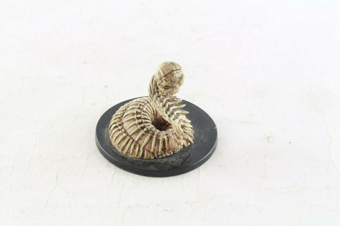 Bone Naga - Unhallowed - Dungeons & Dragons Miniature (DDM) - #34